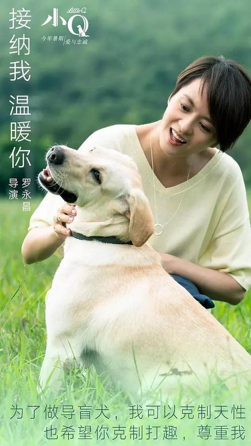 没有学士学位证可以报考在职研究生吗